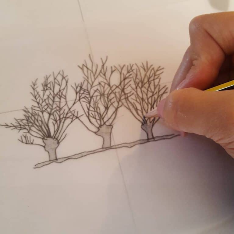disegno