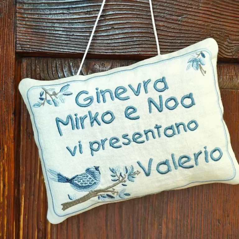 instagram-09-cuscino-presentazione